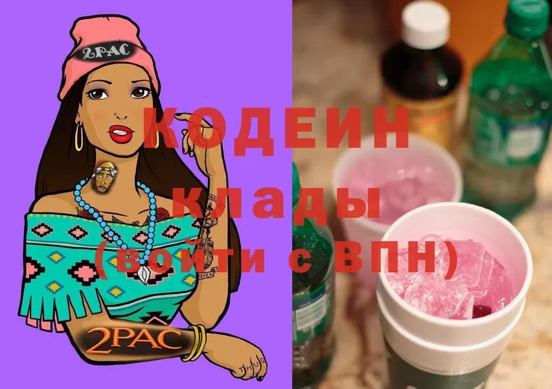 наркота  Каменногорск  Кодеиновый сироп Lean Purple Drank 