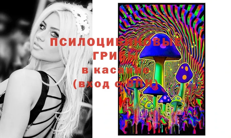 Галлюциногенные грибы Cubensis  дарк нет официальный сайт  Каменногорск  хочу  